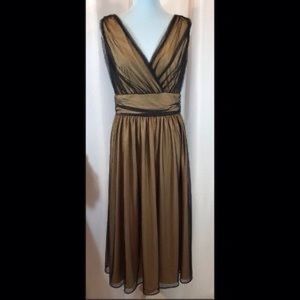 🌻Cami International sz6 Vintage BlackMesh Dress🌻